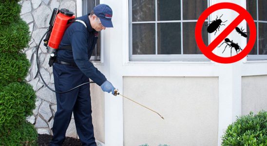 Alaçatı Akrep İlaçlama böcek ilaçlama ve haşere kontrolü — ilaclama-tr.com